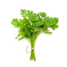 coriander leaves