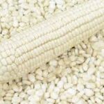 dry maize