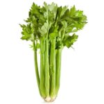Celery