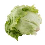 Lettuce