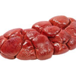 Beef Kidney
