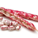 Fresh Peeled Rosecoco Beans