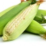 Green Maize