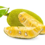 Jackfruit