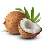 Coconut